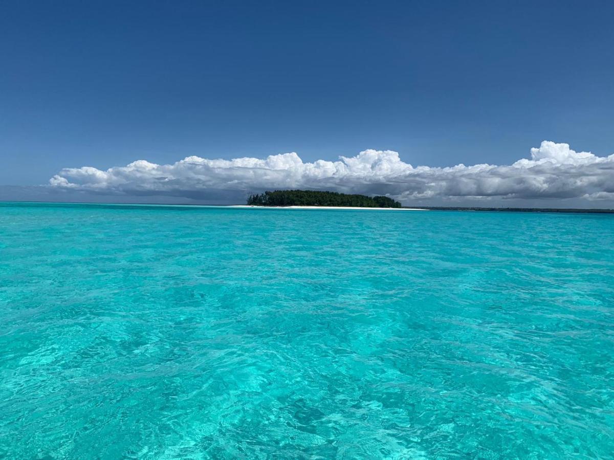 ブウェワウ Blue Palm Zanzibar Bed & Breakfast エクステリア 写真