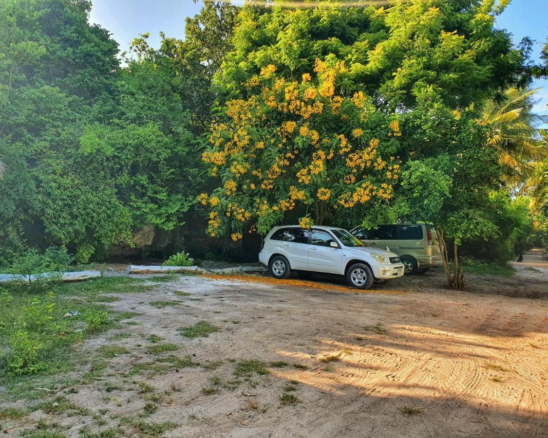 ブウェワウ Blue Palm Zanzibar Bed & Breakfast エクステリア 写真