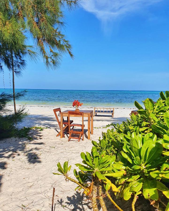 ブウェワウ Blue Palm Zanzibar Bed & Breakfast エクステリア 写真