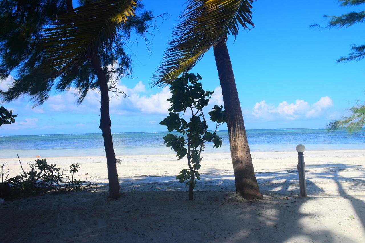 ブウェワウ Blue Palm Zanzibar Bed & Breakfast エクステリア 写真