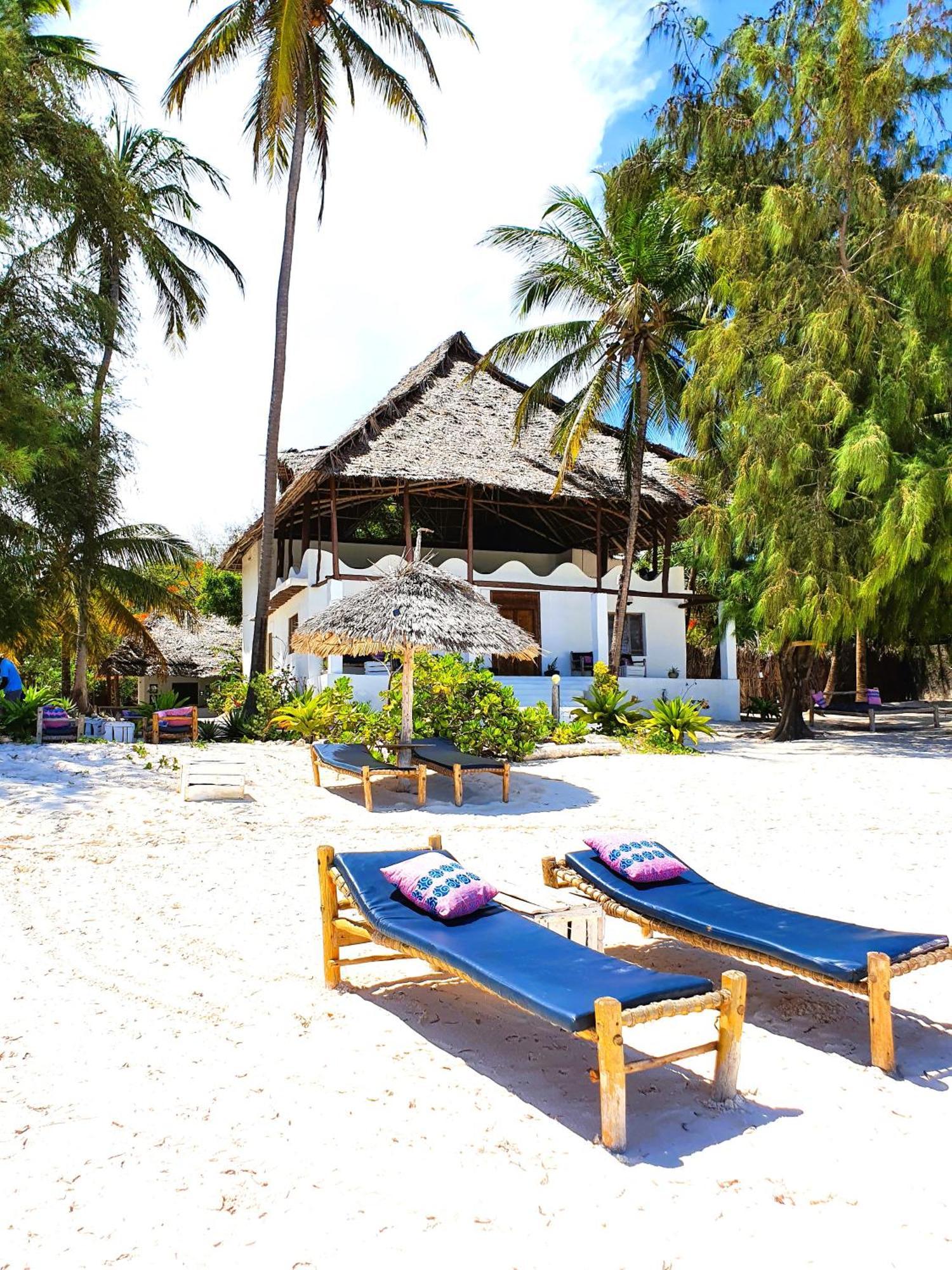 ブウェワウ Blue Palm Zanzibar Bed & Breakfast エクステリア 写真