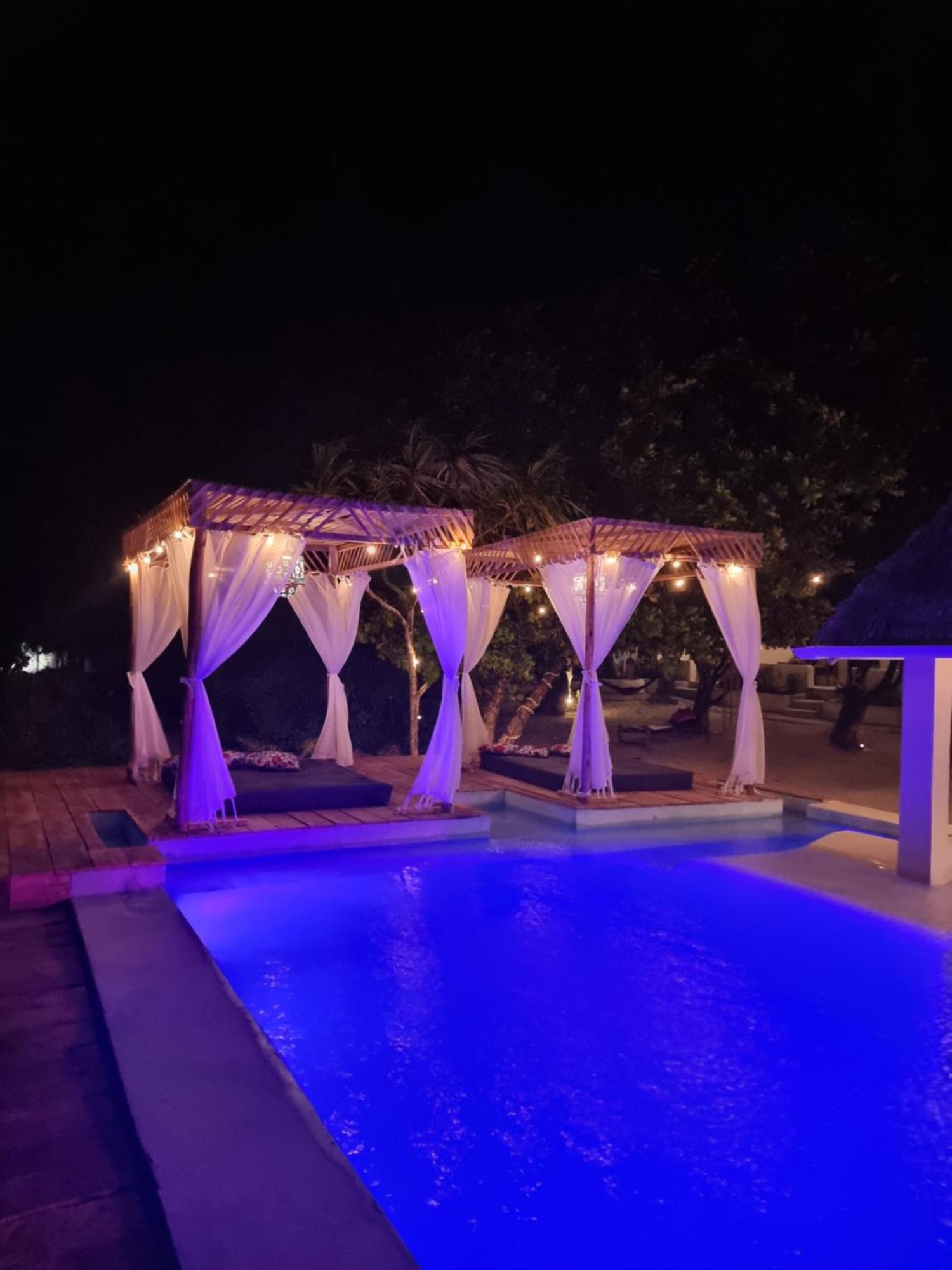 ブウェワウ Blue Palm Zanzibar Bed & Breakfast エクステリア 写真