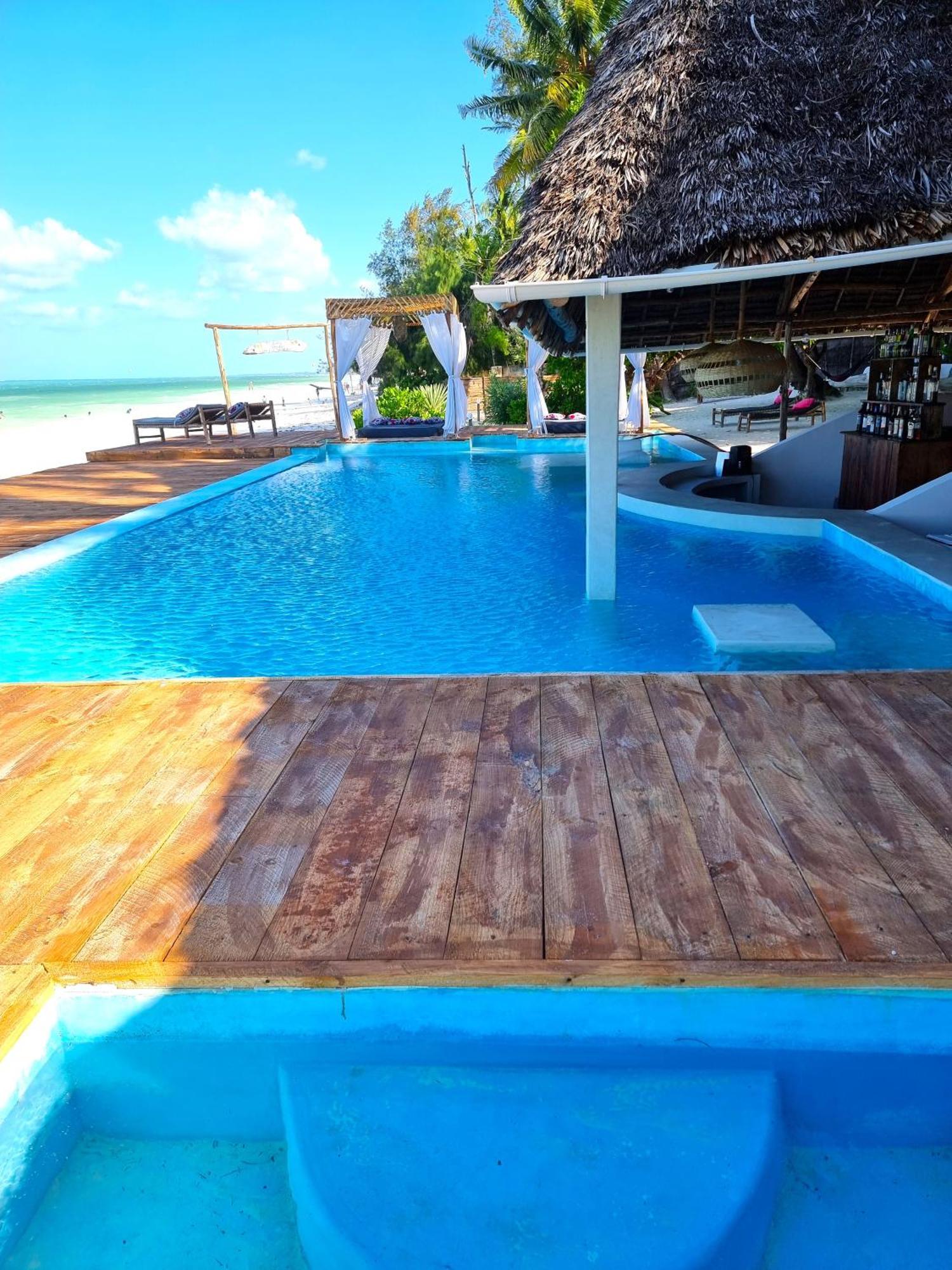 ブウェワウ Blue Palm Zanzibar Bed & Breakfast エクステリア 写真